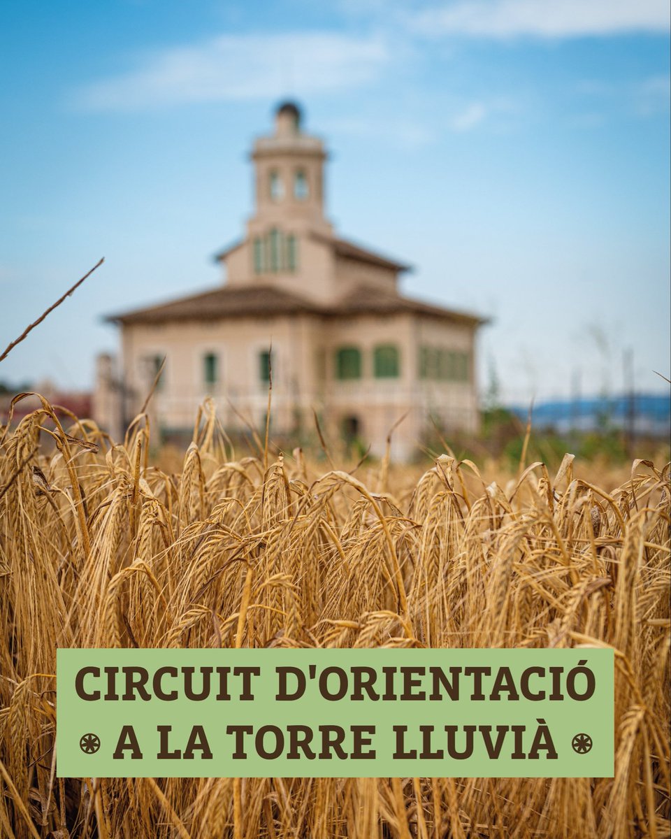 Manresa Turisme (@manresaturisme) on Twitter photo 🧭 Vols posar a prova el teu sentit de l’orientació?
Vine al Circuit d’orientació a la Torre Lluvià i descobreix l’entorn natural de la Riera de Rajadell 🌿
📅 10–12 h + visita guiada
💚 Activitat gratuïta | Places limitades | 
manresaturisme.cat/cat/menu/18424… 🧭 Vols posar a prova el teu sentit de l’orientació?
Vine al Circuit d’orientació a la Torre Lluvià i descobreix l’entorn natural de la Riera de Rajadell 🌿
📅 10–12 h + visita guiada
💚 Activitat gratuïta | Places limitades | 
manresaturisme.cat/cat/menu/18424…