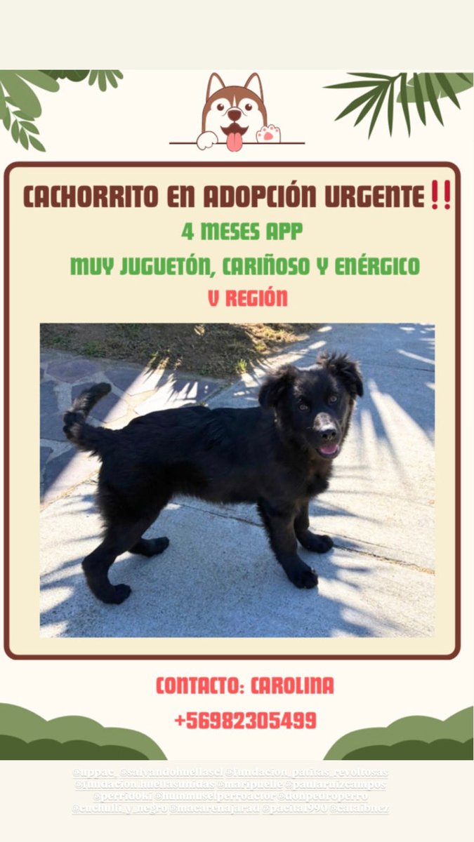 Valentina• tweet media