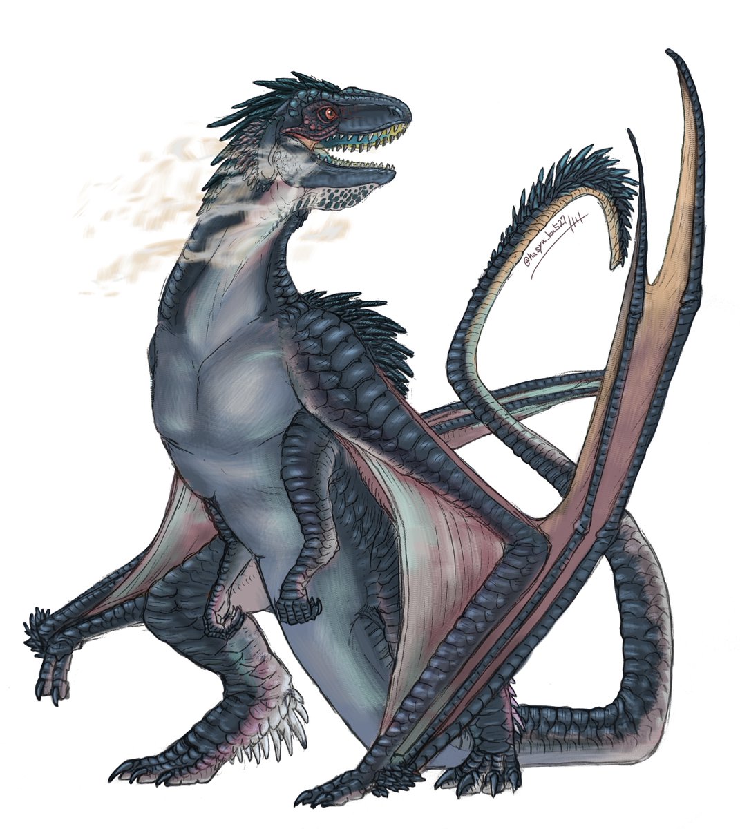 #3連休だから妖怪幻獣イラスト見せ合おうぜ
陸・海・空の生物たち