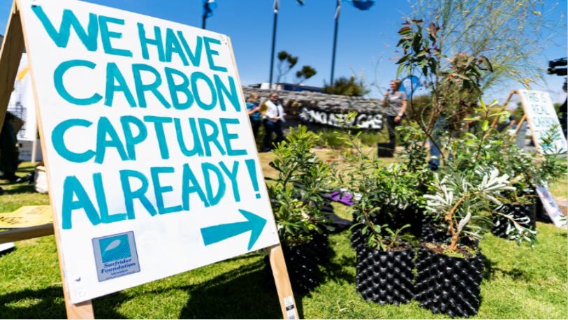 CTVR Newsfeed for  October 12, 2025

Earth's natural carbon vaults are maxing out.

For decades, our forests and soils have quietly absorbed 1/3 of our CO₂ emissions. But new research shows they're reaching their breaking point. 

Learn More: ctvr.substack.com/p/ctvr-newsfee…