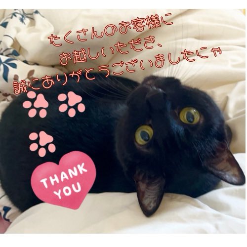 aKaNe4cats🐾レジンで創る猫さん雑貨🐾😸 (@KaNe4cats) / Posts / X
