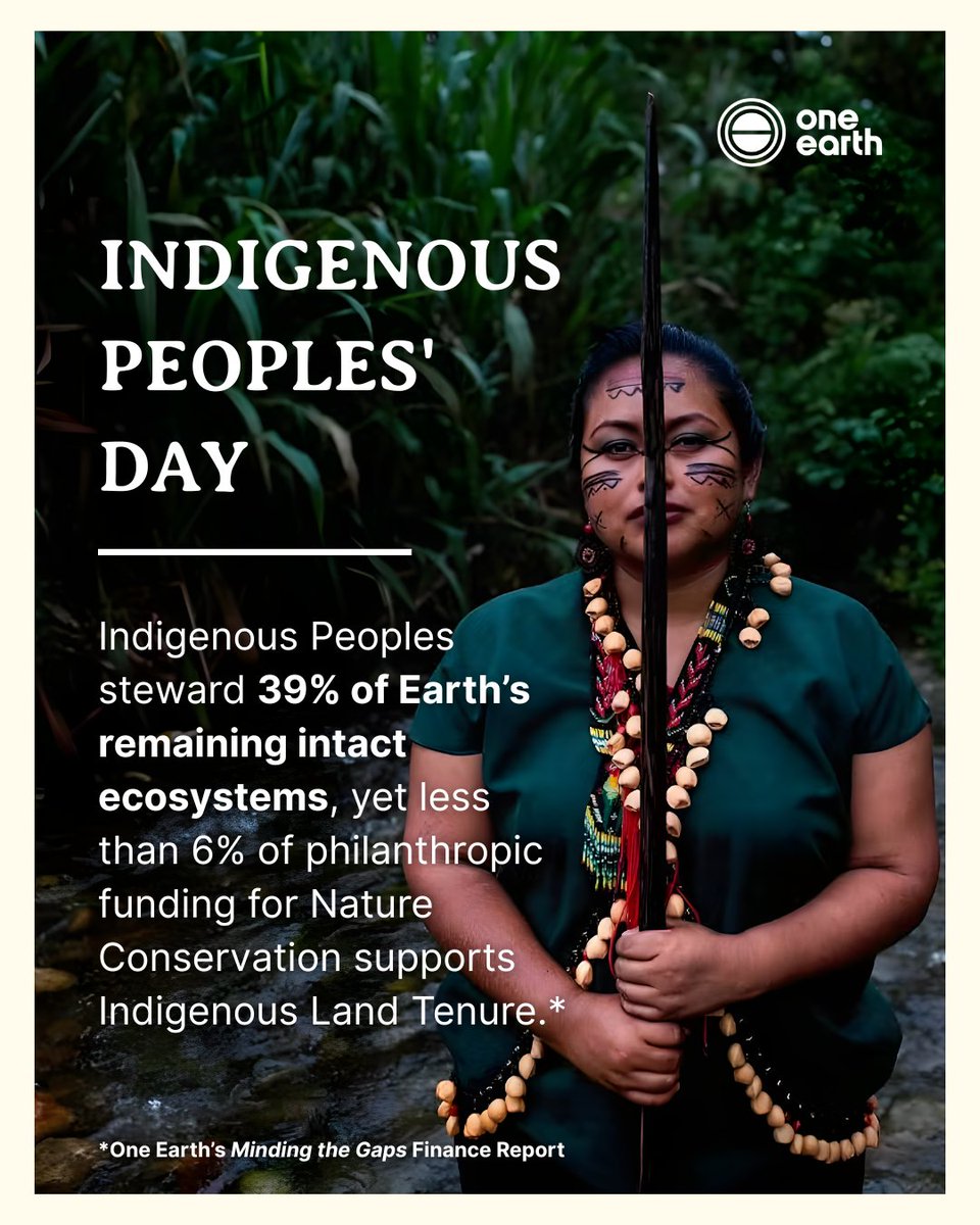 Research shows that Indigenous-led conservation consistently outperforms conventional models in protecting biodiversity, storing carbon, and sustaining healthy ecosystems.

#IndigenousPeoplesDay #ProtectCulture #ProtectBiodiversity