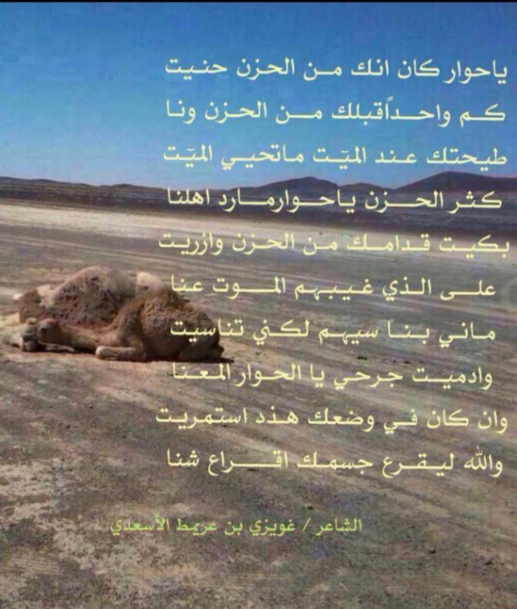 صح لسان شاعرها غويزي الأسعدي 
#الأساعده
#عتيبه