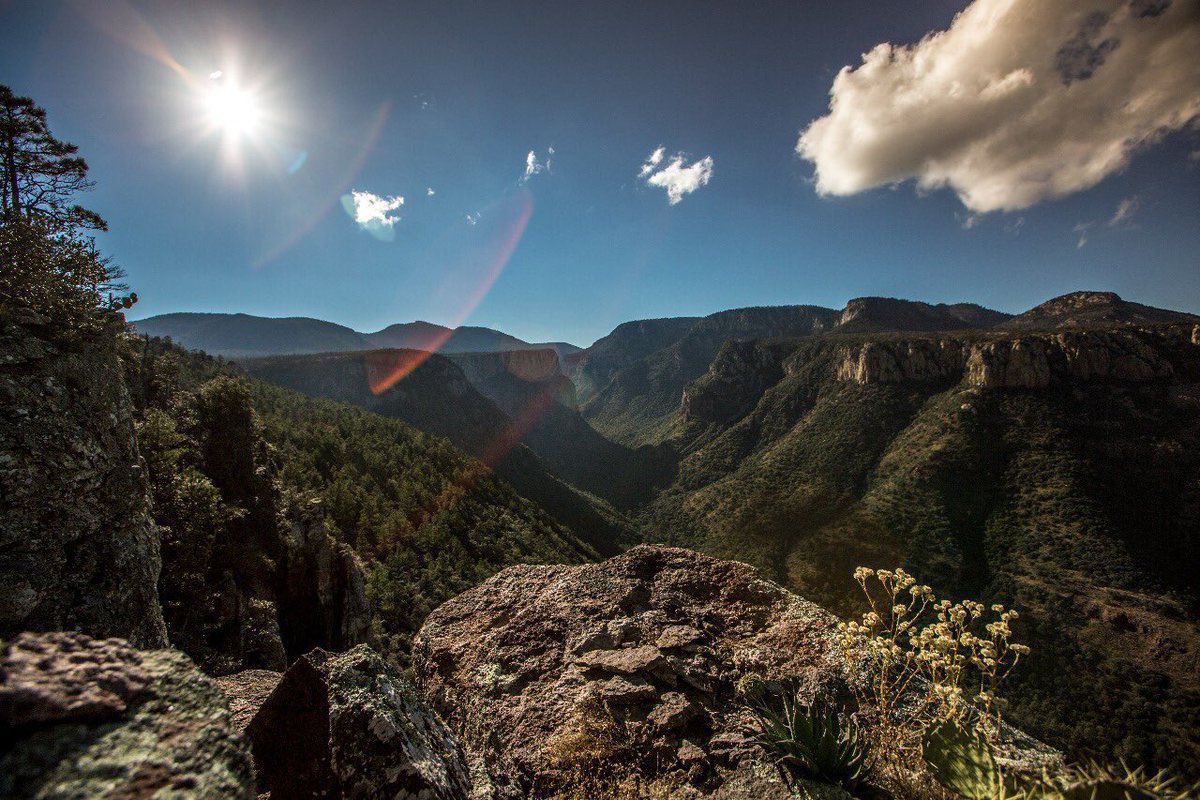La #secretariadeeconomia inició procedimientos para cancelar concesiones mineras en #areasnaturalesprotegidas en 🇲🇽, ¿se buscará detener el daño que este modelo depredador ha ocasionado?, 🤔🪧daremos seguimiento a este tema que es de interés para todxs 🌱
goo.su/1drdlB