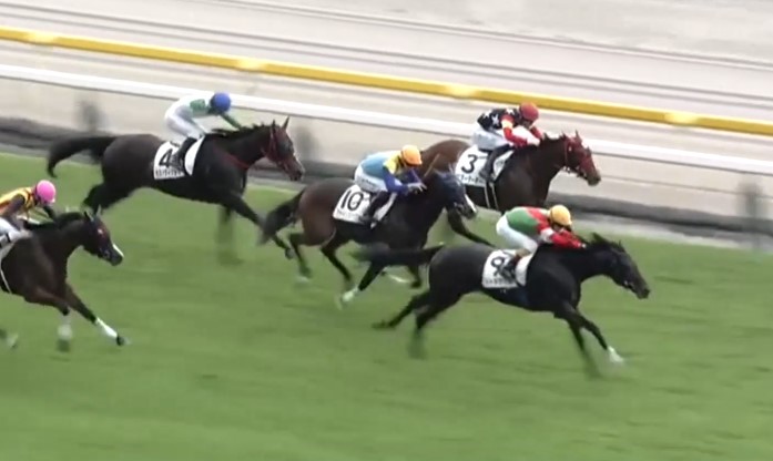 10月13日、当社育成馬シャオママル(牡2、美浦・加藤士津八厩舎、ヒダカブリーダーズユニオン様所有)が、東京3R、2歳未勝利（芝1400m）で、勝ち上がりました！

ヒダカブリーダーズユニオンの会員の皆様、加藤士津八厩舎の皆様、優勝おめでとうございました！
kimurabokujo.com/%e6%9c%a8%e6%9…