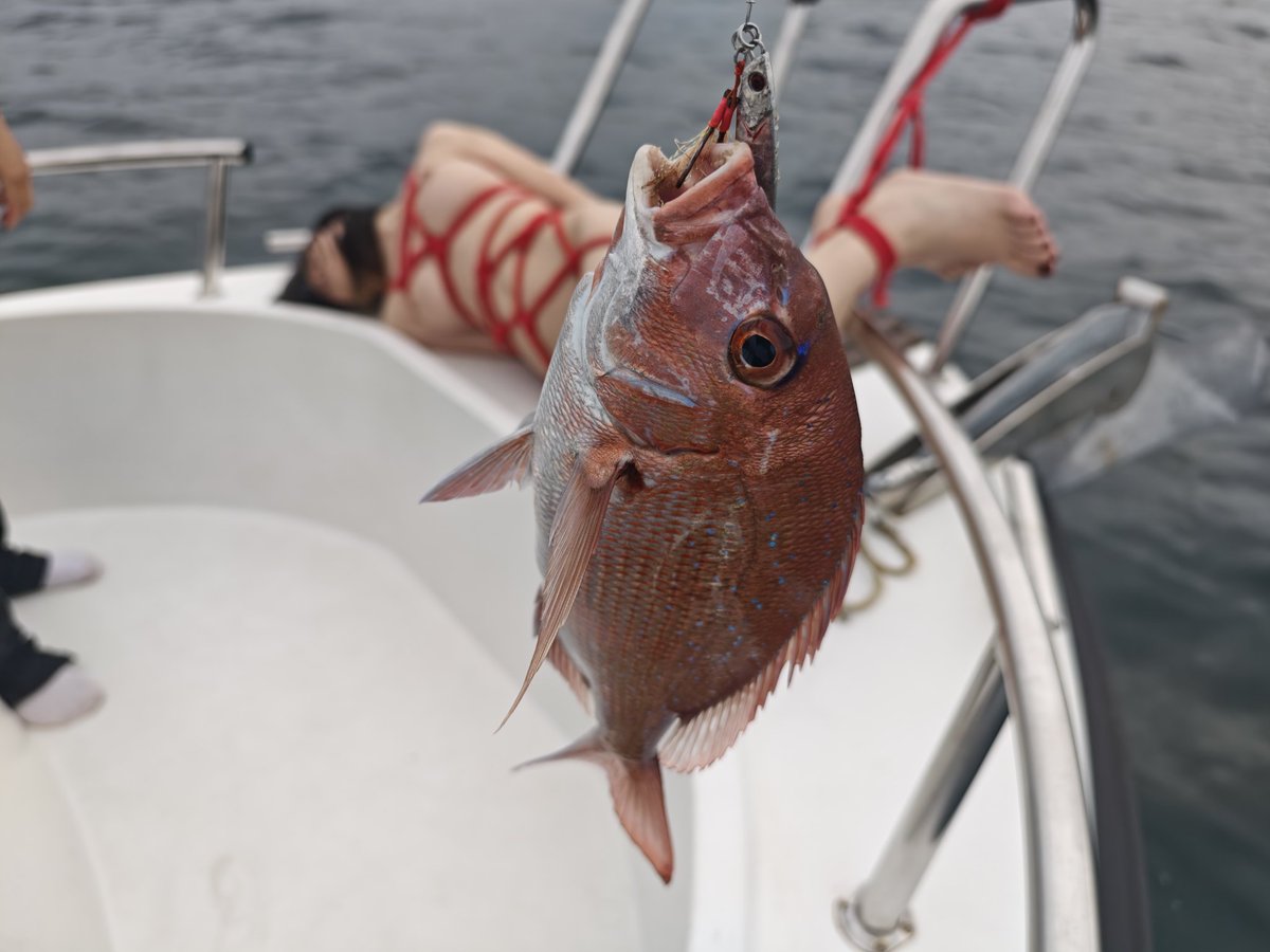 Mr.死因 tweet media