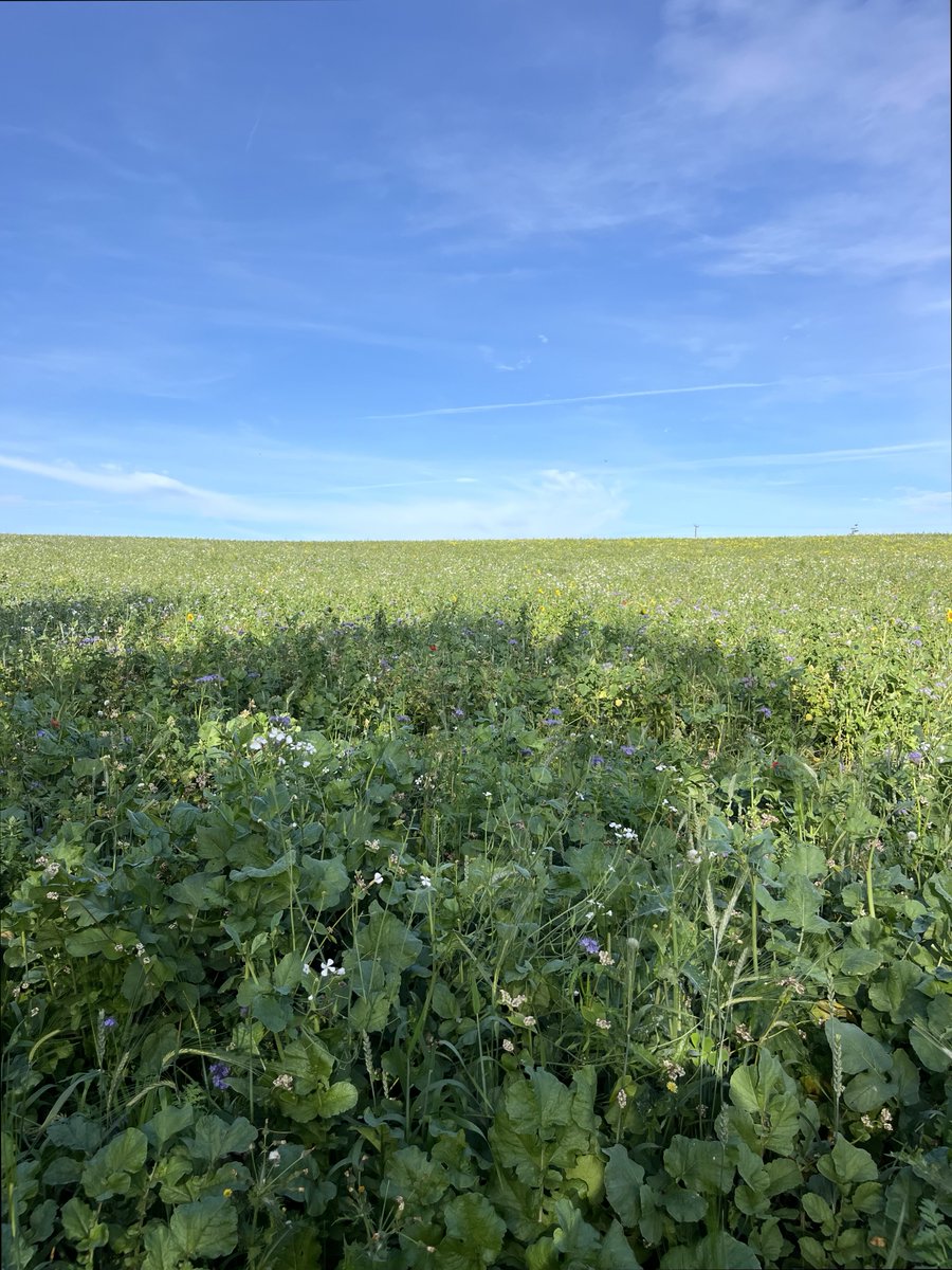 rly cool girl tweet media