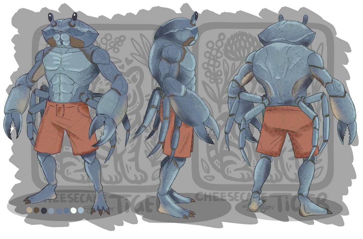 CheekyTiger02's tweet photo. Quick concept sketch of a crab. Was a fun animal to try and turn into a furry design. I think I like how it turned out. #furryartist #furry #digitalartwork #conceptart #digitalart #furryart https://t.co/1V4eDkrAFz