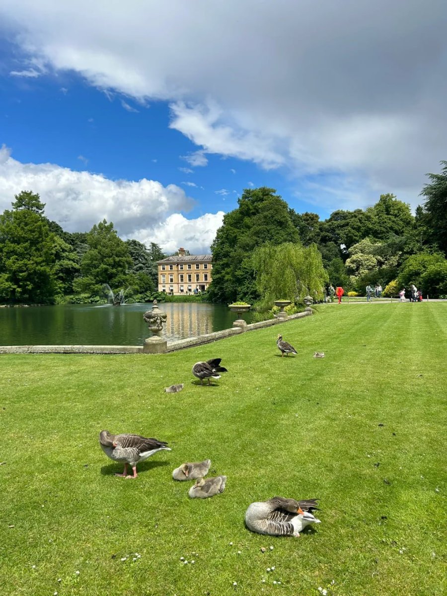 Ruby08855's tweet image. Exploring the beauty of nature at Kew Gardens yesterday was truly refreshing, The vibrant colours and peaceful atmosphere made it a day to remember.