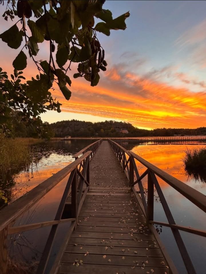 AglloMuniz's tweet image. #October13