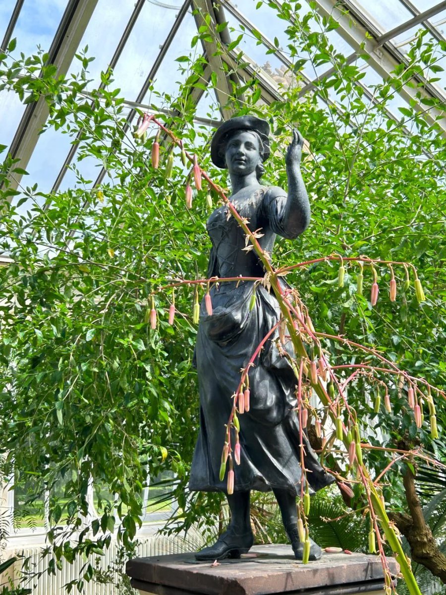 Ruby08855's tweet image. Exploring the beauty of nature at Kew Gardens yesterday was truly refreshing, The vibrant colours and peaceful atmosphere made it a day to remember.