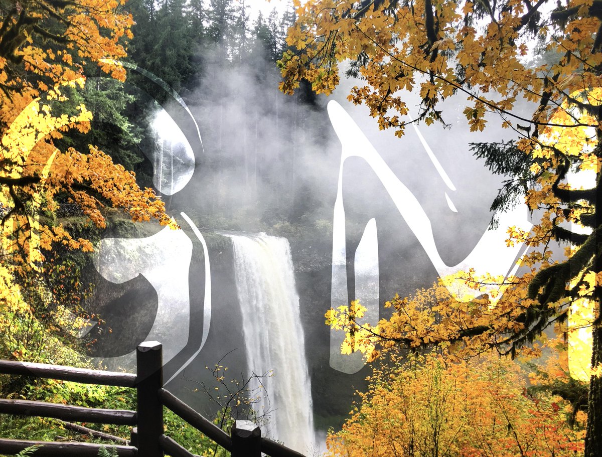 Gmorning... Every day gives you two options: comfort or growth.

Choose wisely.