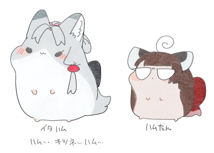 床の間Q tweet media