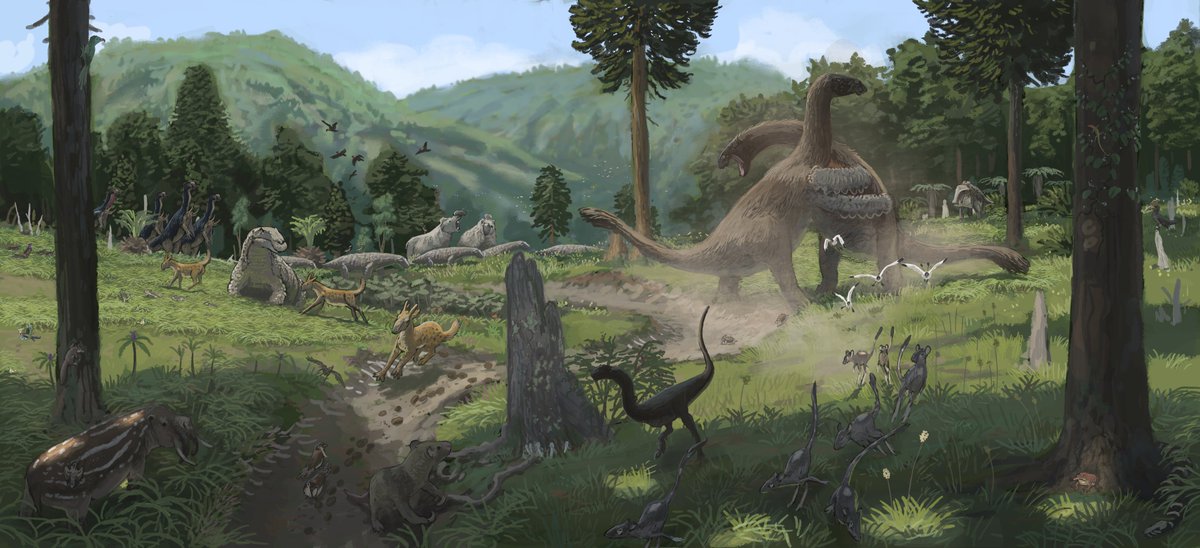 Dust flies and wood breaks under the titanic efforts of two Scallop Nuns, the largest land animals of Lemura. Their home are the open woodlands, which they formed in part themselves as they constantly topple smaller trees. This open up the landscape for grasses and ferns and...