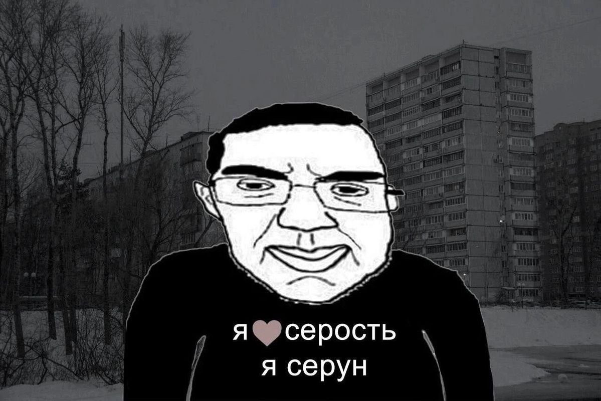 данечка tweet media