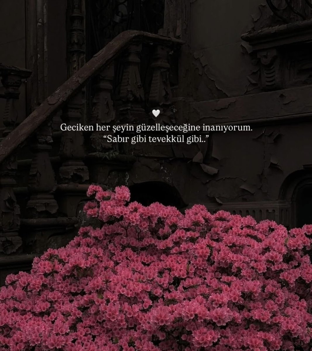 Edebiyat Cephesi (@edebiyatcephesi) on Twitter photo 