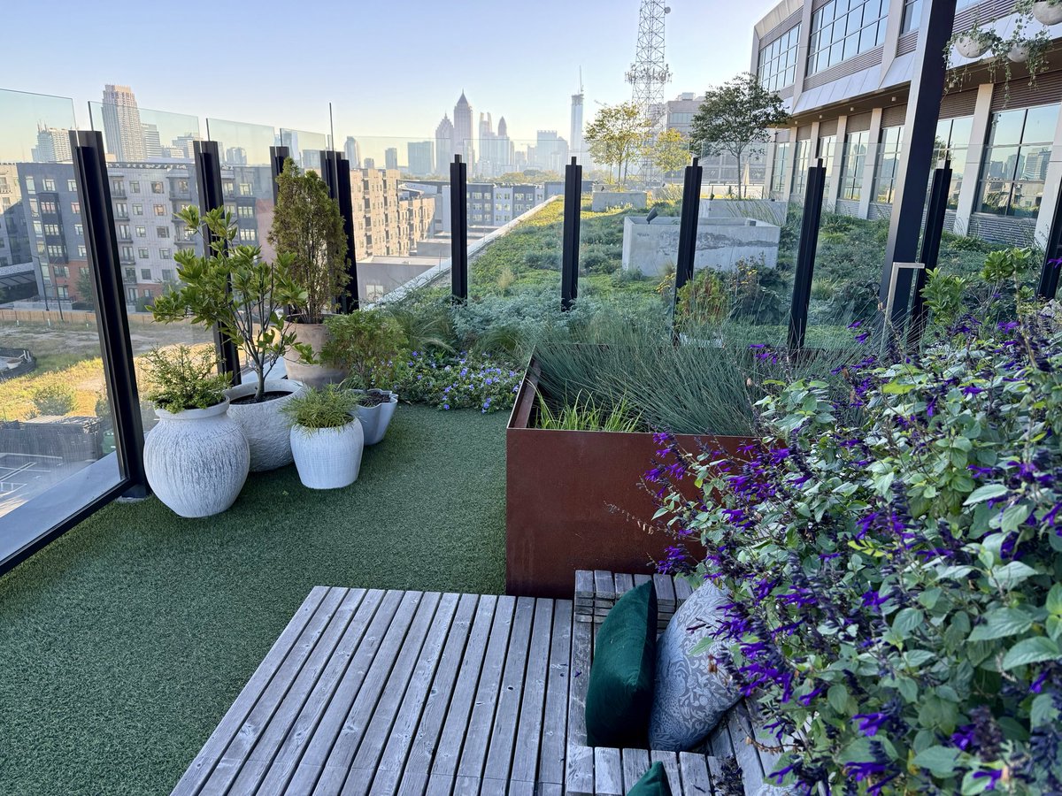 EmoryMSP tweet media