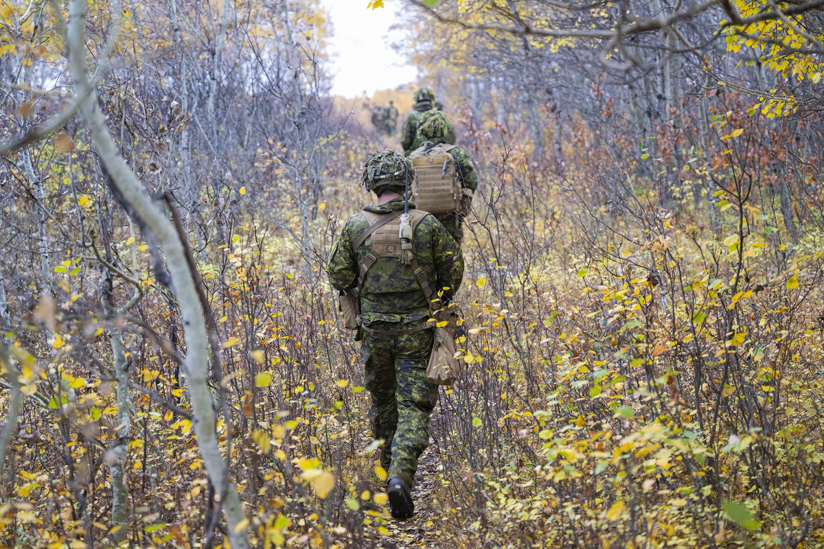 Happy Thanksgiving! 🍁🦃 

We extend our gratitude to all CAF members, at home or abroad, and to the families who stand beside them. Your service, courage, and commitment make everything we accomplish for Canadians possible.  

Thank you for all that you do.