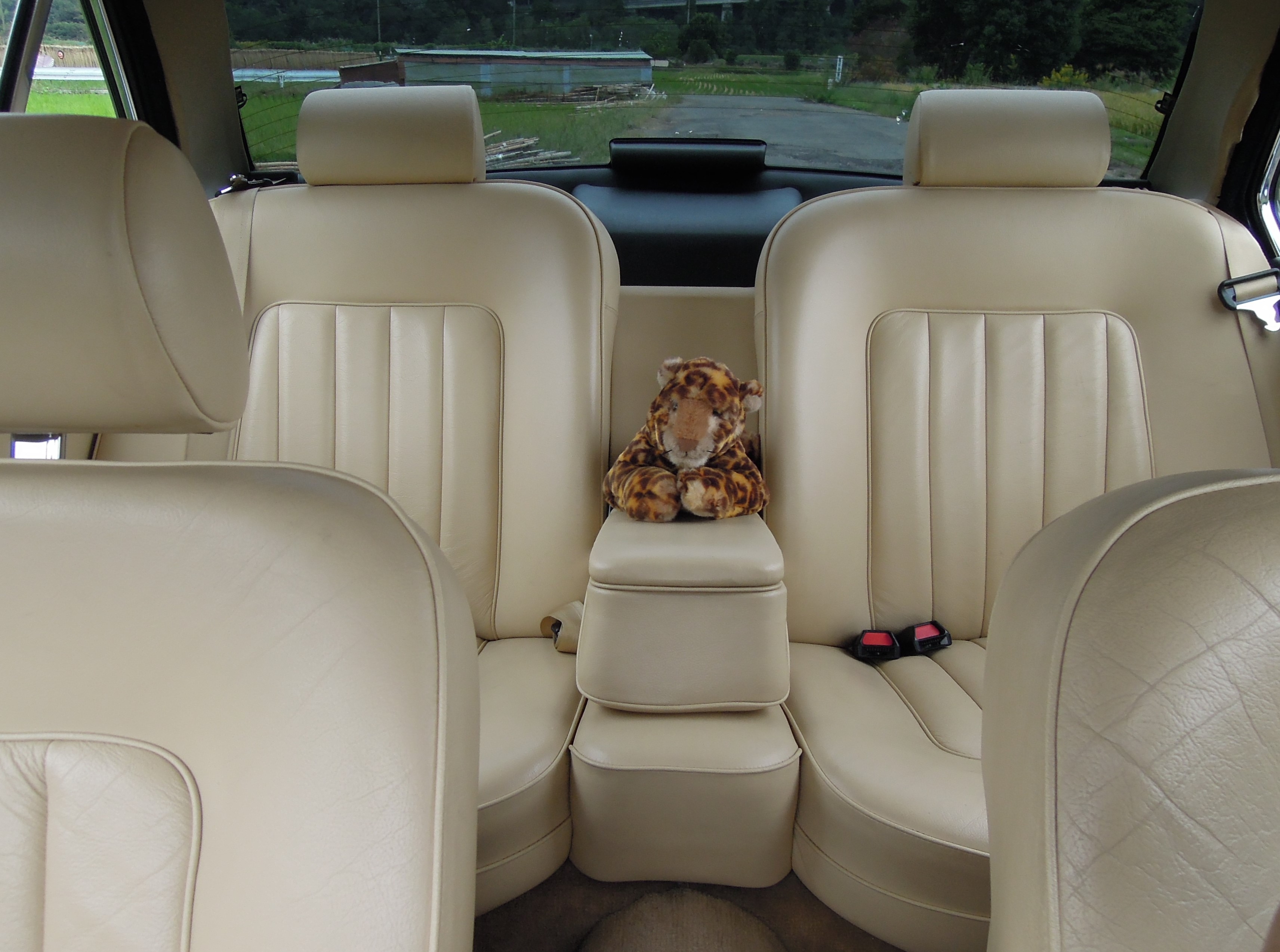 クロニャンコ (@nyankowheel) / X