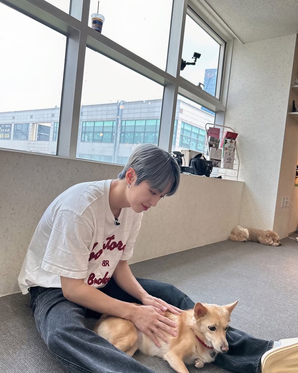 BDU_GLOBAL's tweet photo. Back to the start of our universe💫
#BDUthrowback

@BDU4official Instagram Update 📸

🐶🍀 

🔗https://t.co/AQDlNtT7m1

#BDU #비디유 #BITSAEON #빛새온 #SEUNGHUN #승훈 #KIMMINSEO #김민서 https://t.co/XJ97KfjSjP