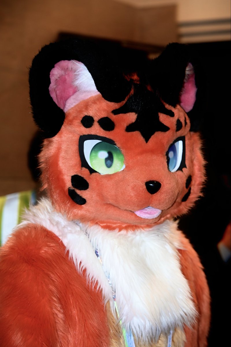 퍼레이드 단체촬 파파라치 사진 모음📸✨✨

인원이 많아서 태그를 못했습니다👀

타래로 이어집니다🐰🧨🧨🧨

#fursuit #fursuiteveryday #퍼레이드