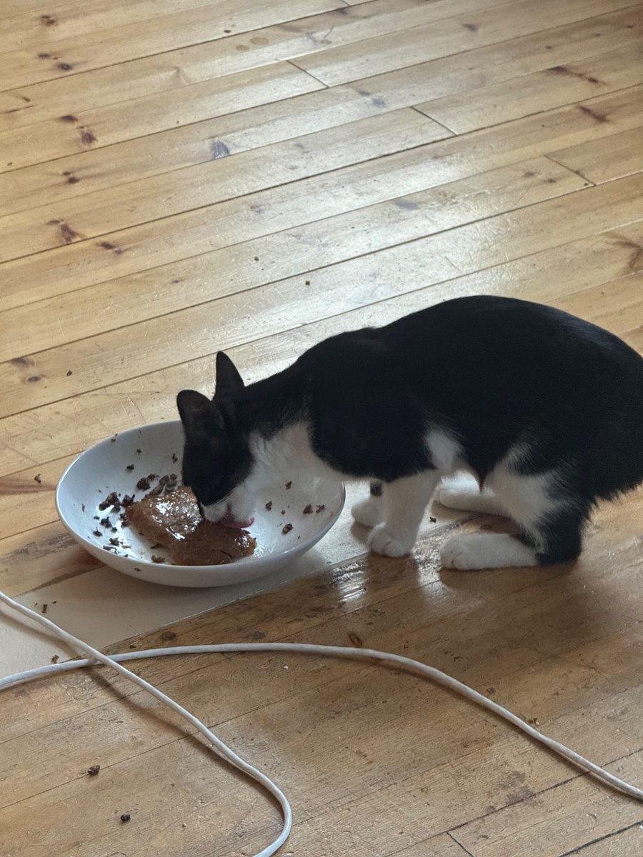 feeding my chud son his favorite slab of nutrients