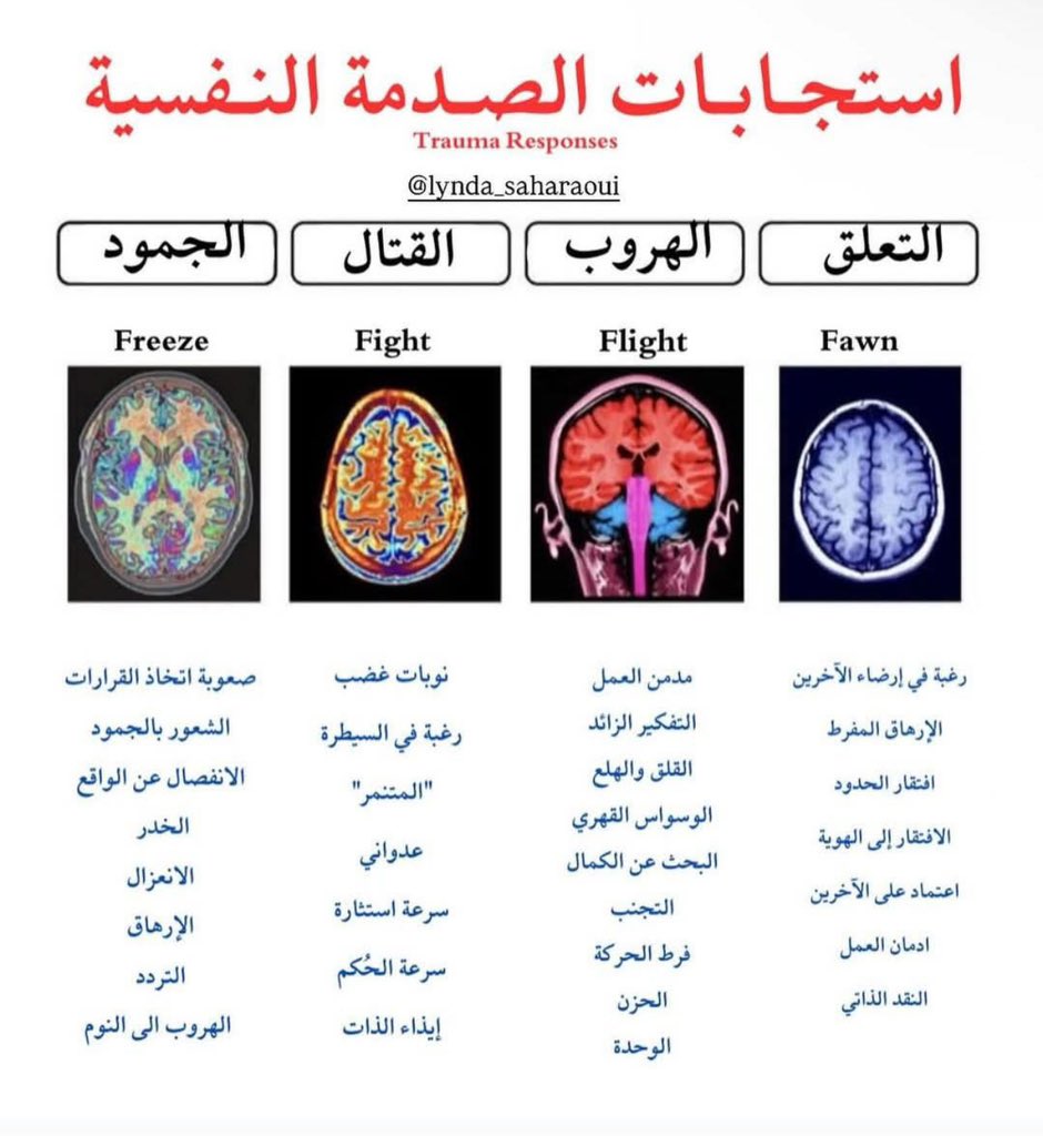 𝙴𝙻𝚃𝙸𝙰𝙼 | إِلْتِئَام (@eltiam1111) on Twitter photo 