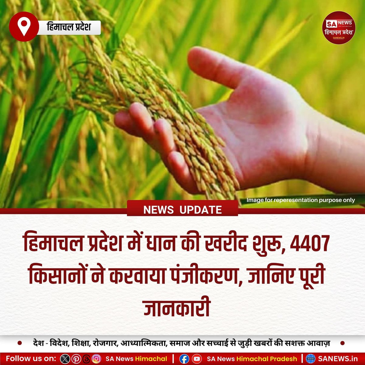 sanewshimachal's tweet image. हिमाचल में धान खरीद शुरू 🌾
राज्य में अब तक 1389.71 मी.टन धान खरीदा गया। 4407 किसानों ने पंजीकरण कराया, 3638 को टोकन जारी हुए। मूल्य 2425 ₹/क्विंटल तय। 11 मंडियों में खरीद जारी, भुगतान सीधे खातों में होगा।
#PaddyProcurement #HimachalFarmers #AgricultureSupport  #HimachalPradesh