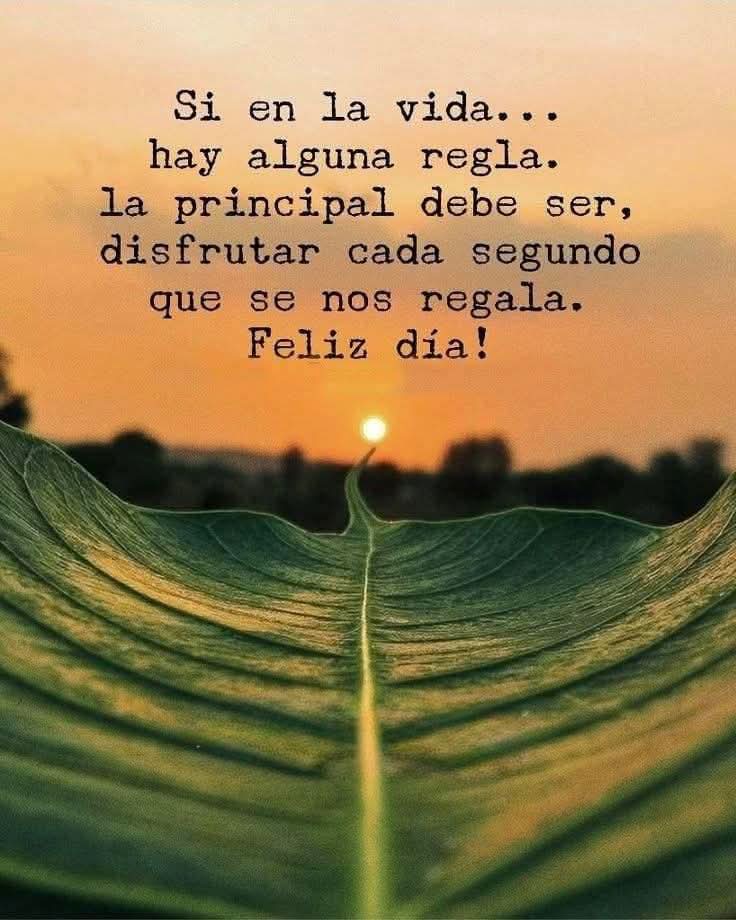 Muy buenos días.
Feliz inicio de semana.