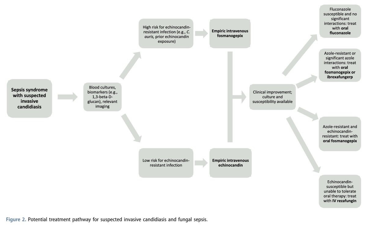 Juan Pablo Sánchez Navarro tweet media