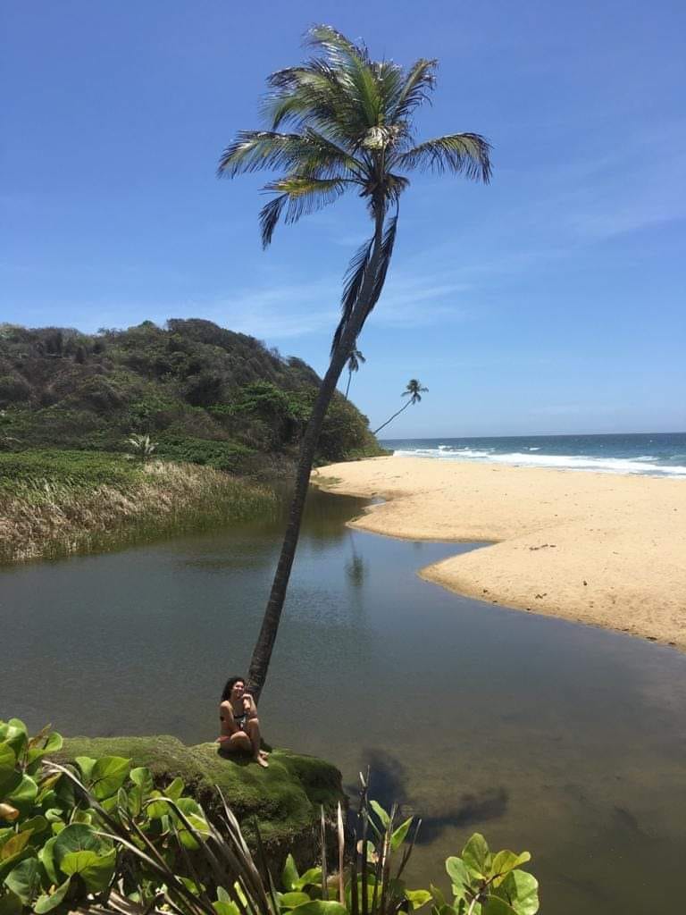 JimenaSimple's tweet image. 