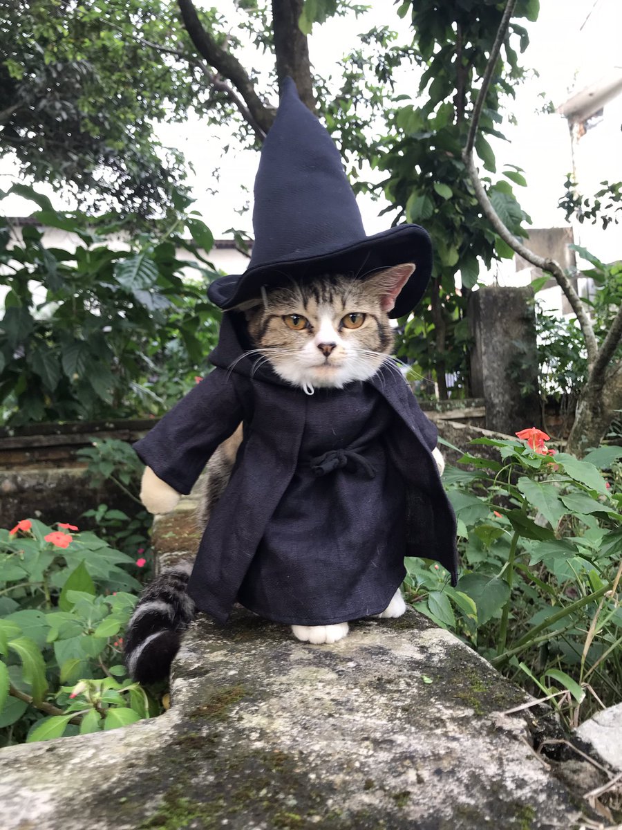 Fredi Lugina tweet media