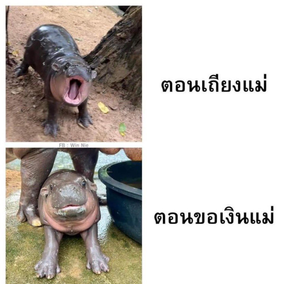 VietJetBoy's tweet photo. https://t.co/LxxHEOSuCY