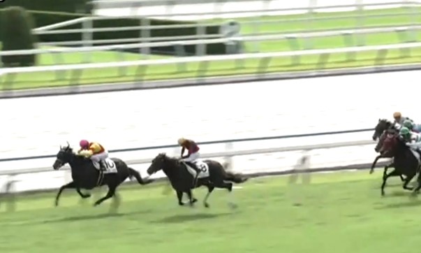 10月13日、当社育成馬ジャスティンビスタ(牡2、栗東・吉岡辰弥厩舎、三木正浩様所有)が、京都5R、2歳新馬戦（芝1800m）で、見事に新馬勝ちしました！

三木様、吉岡厩舎の皆様、優勝おめでとうございました！
kimurabokujo.com/%e6%9c%a8%e6%9…