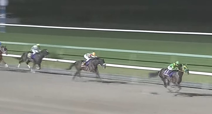 10月13日、当社育成馬ウィルソンテソーロ(牡6、美浦・高木登厩舎、了徳寺健二ホールディングス様所有)が、盛岡12R、南部杯（3歳以上、Jpn1、ダート1600m）で、G1二勝目を挙げました！

了徳寺様、高木登厩舎の皆様、優勝おめでとうございました！
kimurabokujo.com/%e6%9c%a8%e6%9…