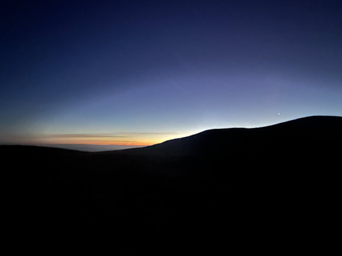 Paul Fitzsimmons tweet media