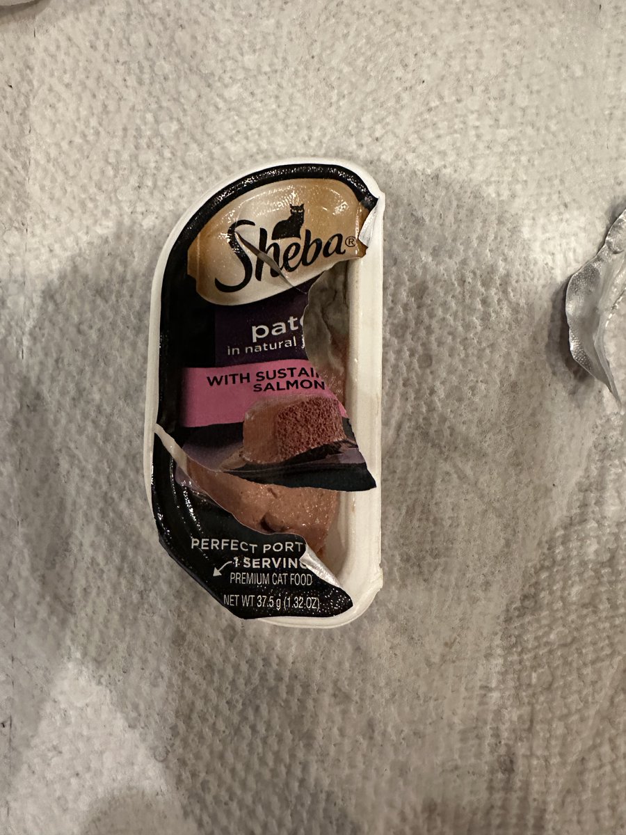 Libby Budge tweet media