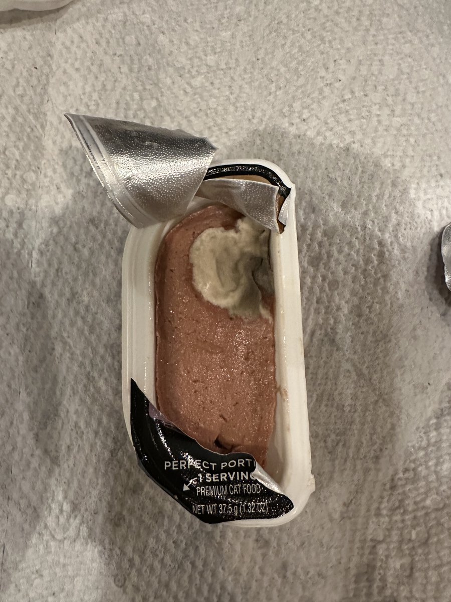 Libby Budge tweet media