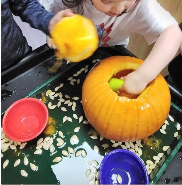 JancettGroup's tweet image. Our Ross Road nursery children's Core book is Pumpkin Soup and the children have been exploring a pumpkin in their messy play, cutting it open and looking and feeling inside of it! #messyplay #corebook #nursery #earlyyears #wallington #carshalton