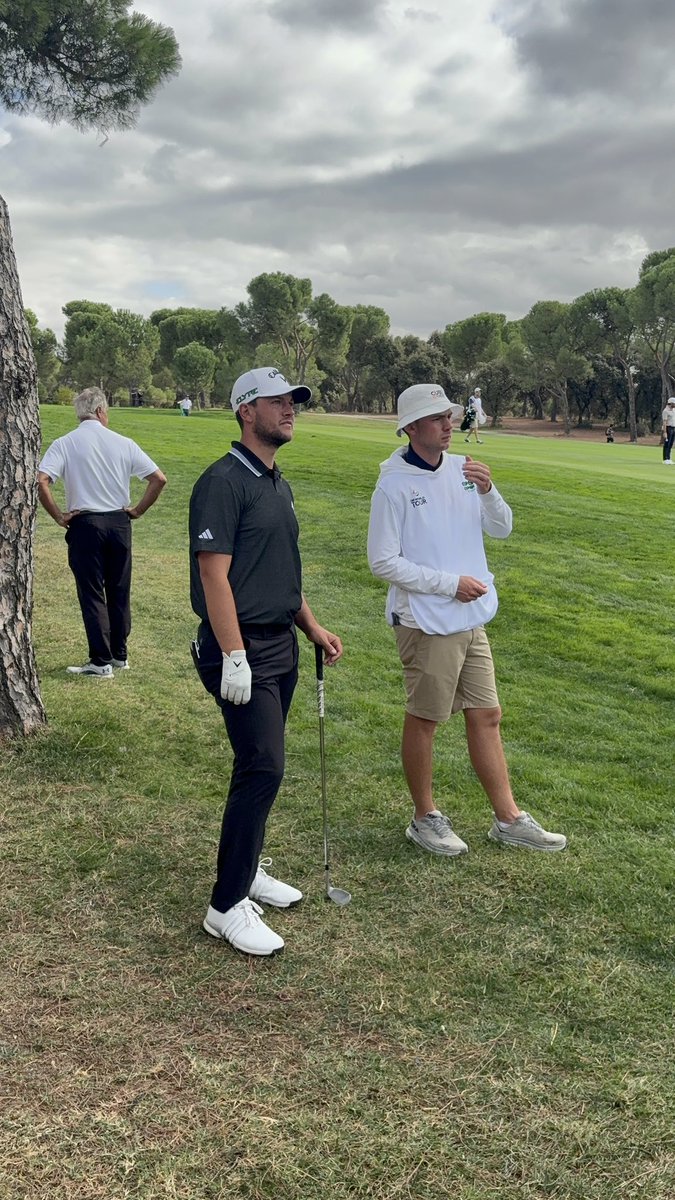 Sherlockgolf tweet media
