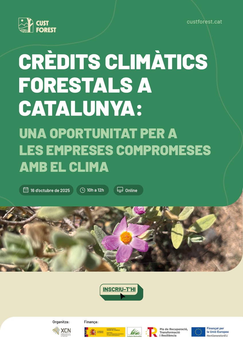 Una de les eines amb la que hem estat treballant son els ✨ crèdits #climàtics✨
Formen part del sistema PROMACC i valoren la gestió forestal sostenible a través de tres serveis ecosistèmics clau: 
🌿Captura de carboni 
💧Provisió d’aigua 
🦋Millora de la biodiversitat