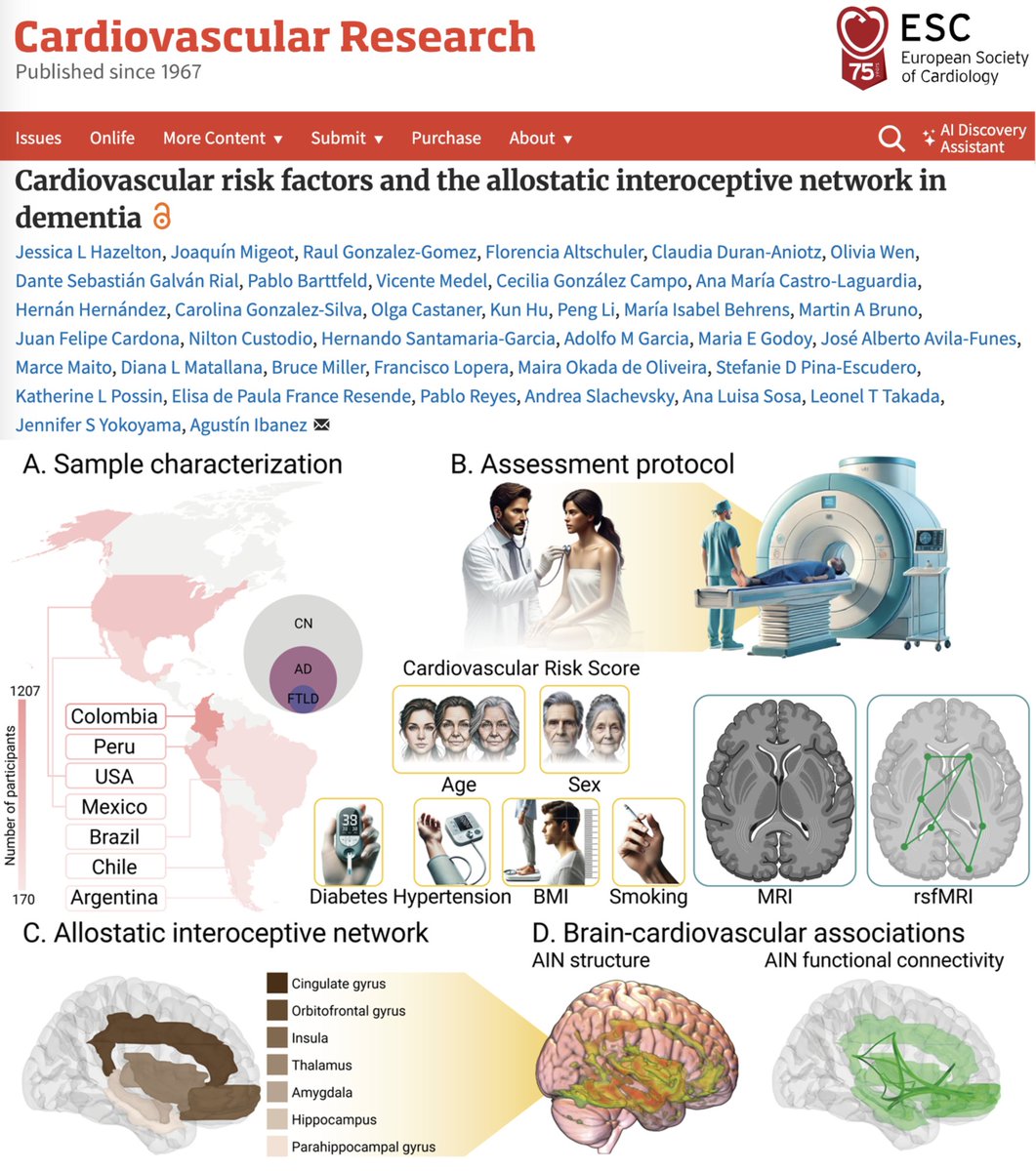 Whole-body health is key to the brain. We show that cardiovascular factors are linked to the allostatic interoceptive network, a brain system that responds to environmental demands. Out in <a href="/ESC_Journals/">European Society of Cardiology Journals</a>: doi.org/10.1093/cvr/cv… 
Congrats <a href="/_JLHazelton/">Jess Hazelton</a> <a href="/joaquin_migeot/">Joaquín Migeot</a> &amp; team!
