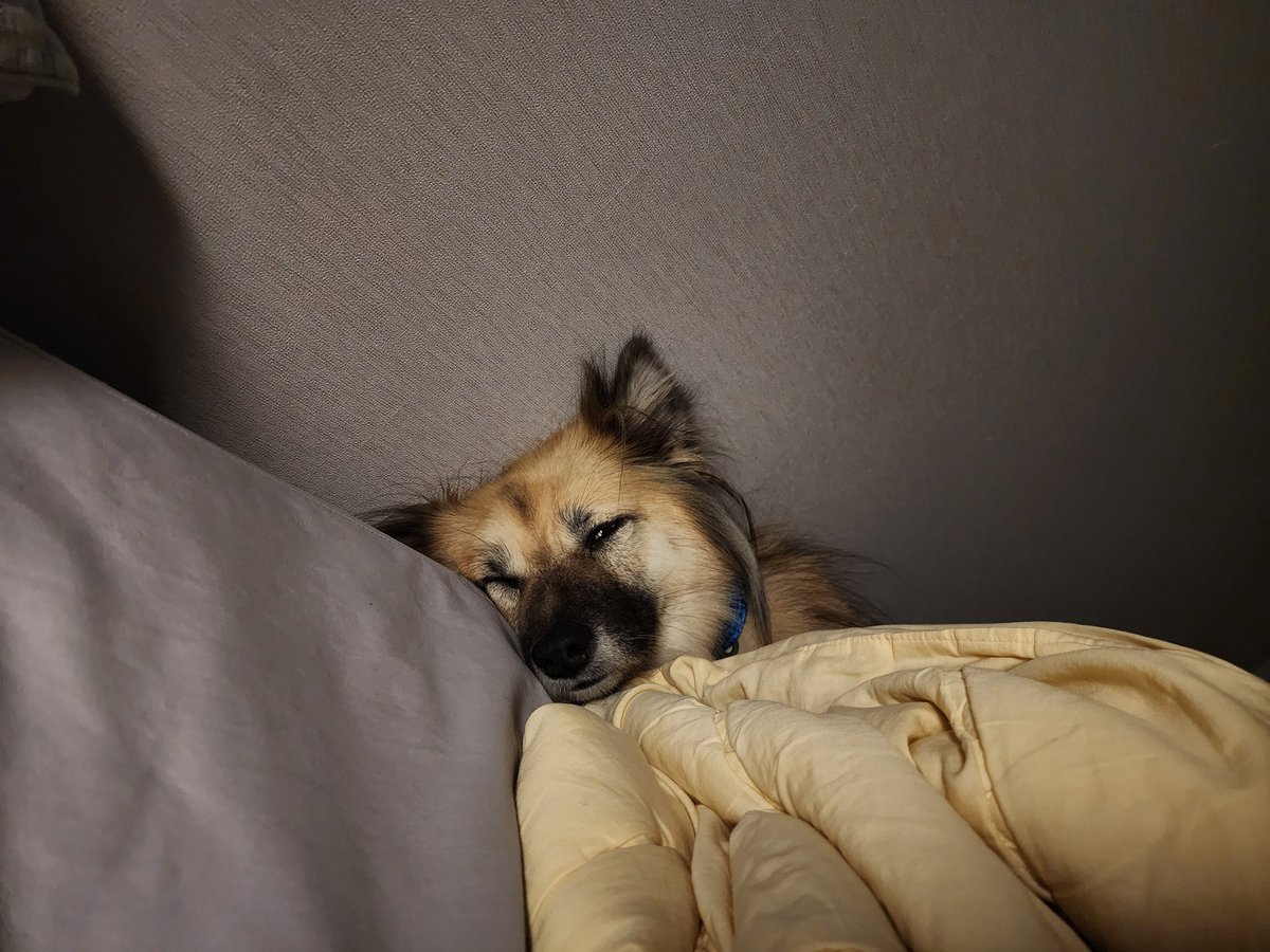 오늘 너무 피곤했대