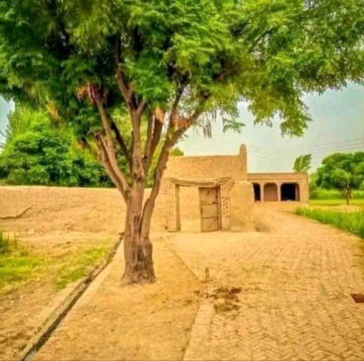 MS_Hun0's tweet image. جیسے ممکن ہو بچا لو یہ اُجڑتے ہوئے گاؤں 
پھر نہ یہ رنگ نہ چہرے نہ مکاں دیکھو گے
#قومی_زبان
#سرائے_سخن 
#اردو_شاعری