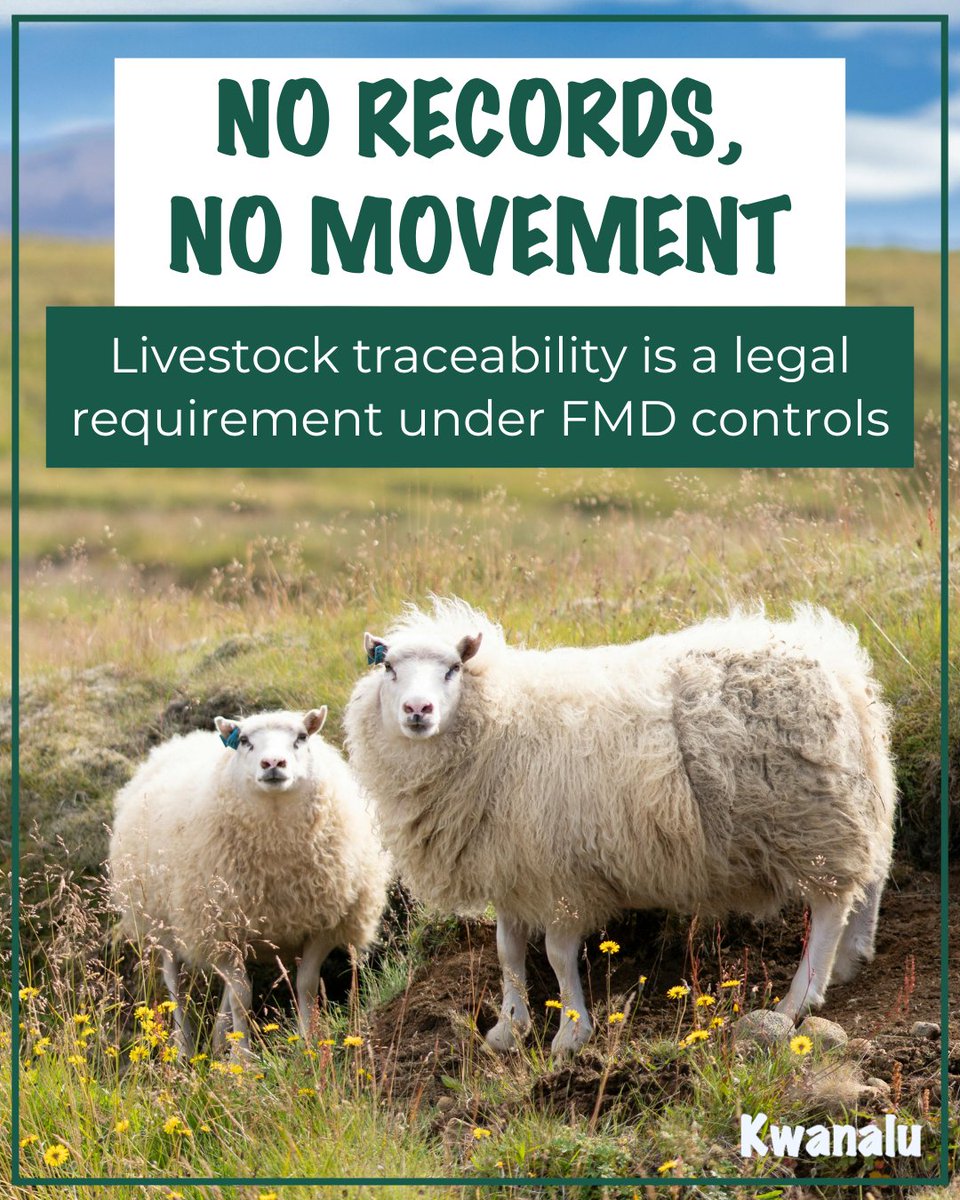 📄 Traceability &amp; accurate record-keeping are legal requirements that help stop the spread of #FootAndMouthDisease &amp; protect everyone involved in the #livestock value chain. For more info on the requirements for gatherings &amp; movement, click here: 2ly.link/28sUR ✅