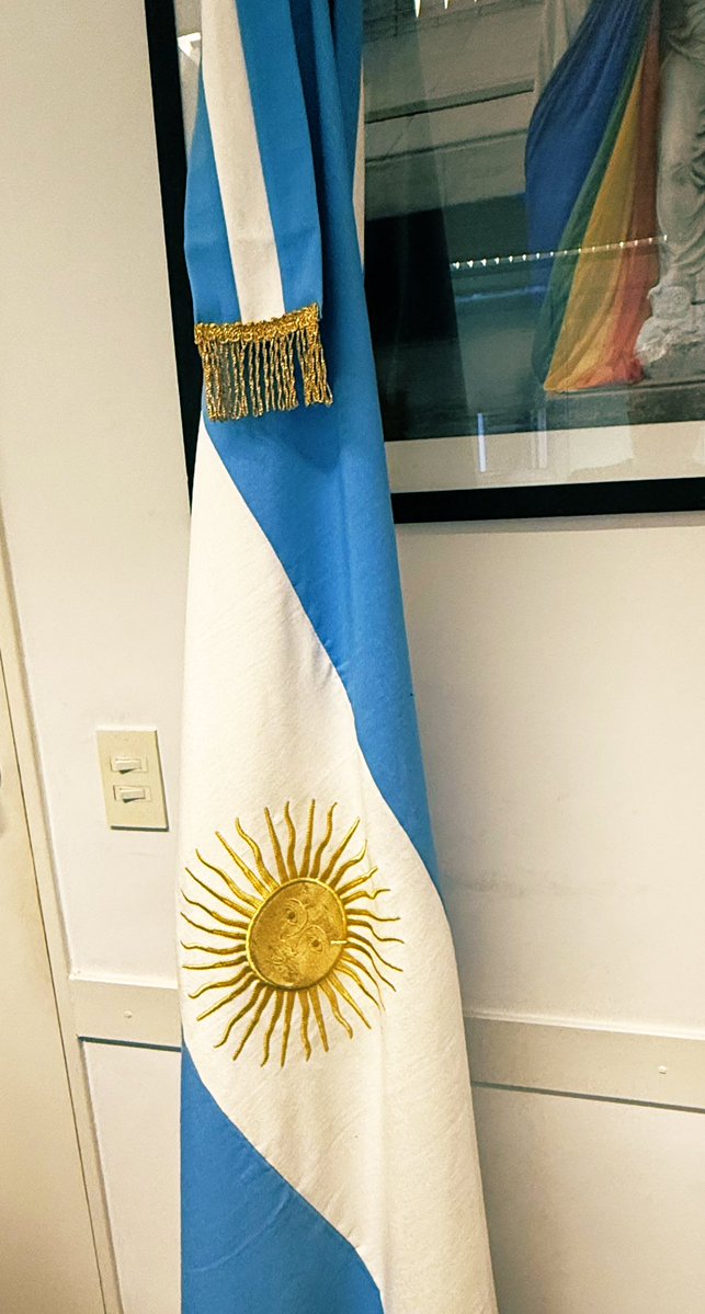 EstebanPaulon's tweet image. Adoro la bandera argentina con el sol 🇦🇷