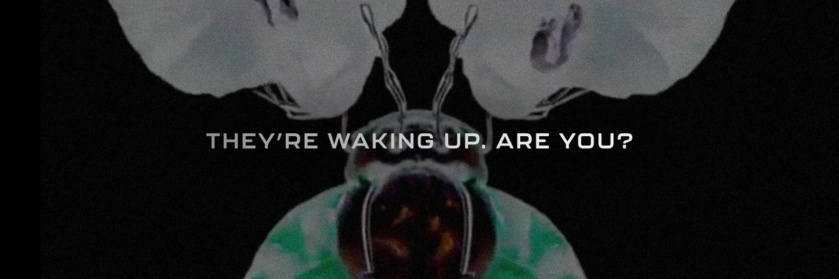 khalenpip's tweet image. 🧬 LifeForms: The Evolution Has Begun 🧬
A thread on the most dynamic living NFTs in the metaverse 👇
#NFTs #Web3 #LifeForms @LifeFormsNFT