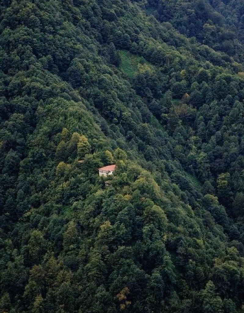 طُلوعــــْـ 🌝 tweet media