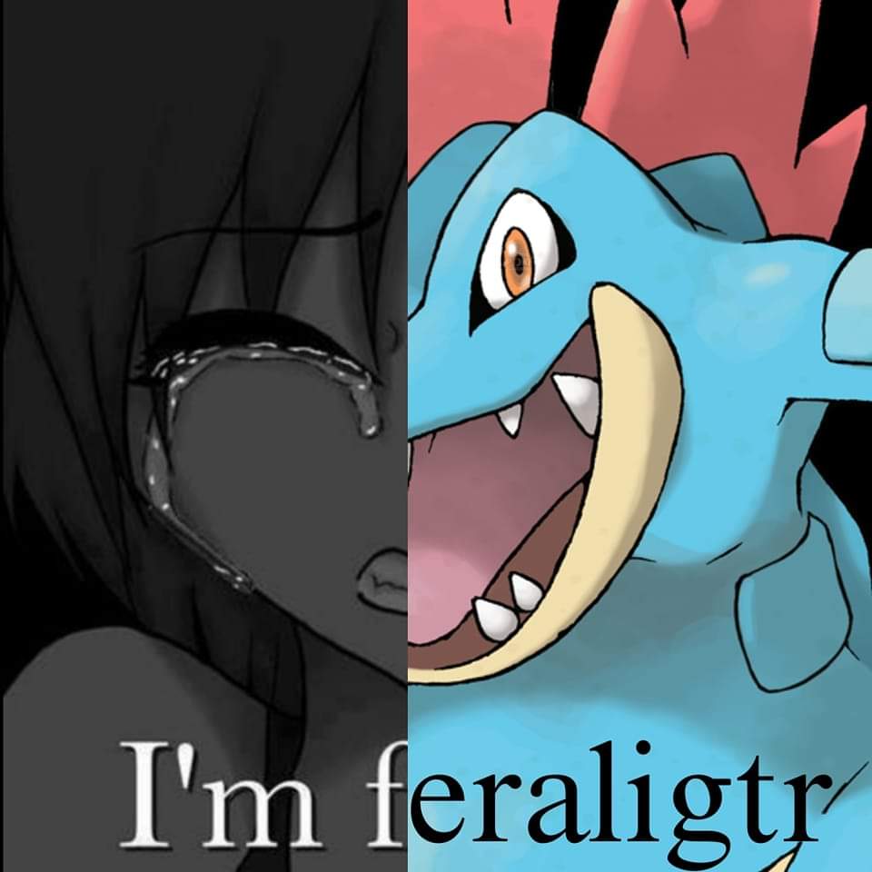 OoCPokemon's tweet image. good morning