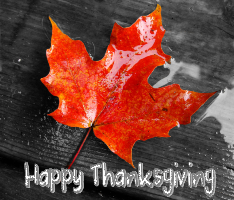 Happy Thanksgiving, The True North Strong And Free!!!🇨🇦

#HappyCanadianThanksgiving